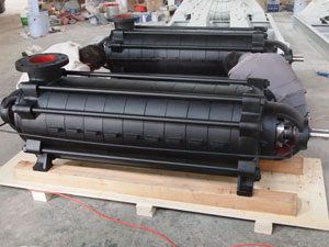 multistage pump, ring section pump, horizontal pump