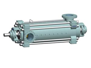 multistage pump, ring section pump, horizontal pump