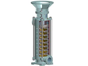 vertical pump, ring section pump, multistage pump